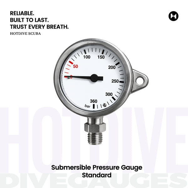 Submersible Pressure Gauge