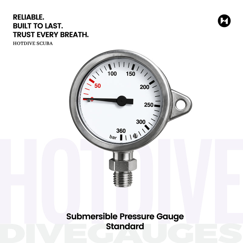 Submersible Pressure Gauge - 1